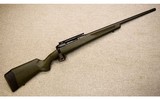 Savage ~ Model 10 ~ 6.5 Creedmoor - 1 of 10