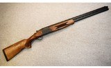 Legacy Sports ~ Pointer ~ 12 Ga. - 1 of 10