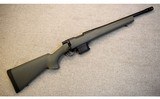 Howa ~ Model 1500 Mini ~ .450 Bushmaster - 1 of 10