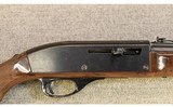 Remington ~ Nylon 66 ~ .22 LR - 3 of 10