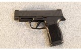 Sig Sauer ~ Model P365 XL ~ 9mm - 2 of 2