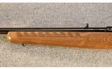 Ruger ~ American Rimfire ~ .22 LR - 6 of 10