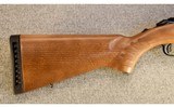 Ruger ~ American Rimfire ~ .22 LR - 2 of 10