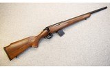 Howa ~ Model 1100 Walnut Hunter ~ .17 HMR - 1 of 10