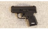 Kahr Arms ~ P380 ~ .380 ACP - 2 of 2