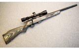 Savage ~ Model 93R17 ~ .17 HMR - 1 of 11