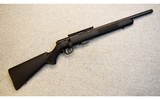 Savage ~ Model 93R17 FV-SR ~ .17 HMR - 1 of 10