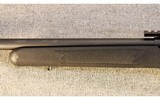 Savage ~ Model 93R17 FV-SR ~ .17 HMR - 6 of 10