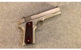 Colt ~ Stainless Government ~ .45 ACP - 1 of 2