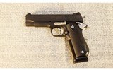 Sig Sauer ~ 1911 Nightmare ~ .45 ACP - 2 of 2