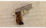 Walther ~ PPK/S Exquisite ~ .380 ACP