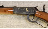 Winchester ~ Model 1894 Limited Edition Centennial High Grade ~ .30 WCF - 8 of 10