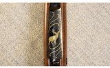 Winchester ~ Model 70 Western Big Game ~ .264 Win. Mag. - 11 of 11