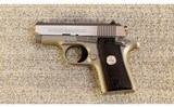 Colt ~ Mustang Pocketlite ~ .380 ACP - 2 of 2