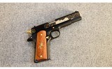 Colt ~ Government Spirit of America ~ .45 ACP