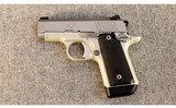 Kimber ~ Micro Carry STS ~ .380 ACP - 2 of 2