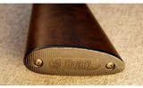 Henry Repeating Arms ~ Model H001TMLP Small Game Carbine ~ .22 Mag. - 10 of 10