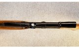 Browning ~ Auto-22 ~ .22 LR - 11 of 11
