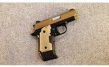 Kimber ~ Micro 9 ~ 9mm - 1 of 3