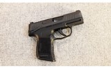 Sig Sauer ~ Model P365 ~ .380 ACP