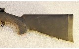 Howa ~ Model 1500 ~ .22-250 Rem. - 8 of 9