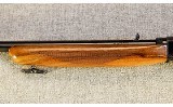 Browning ~ Auto-22 ~ .22 LR - 6 of 11
