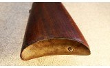 Winchester ~ Model 1894 ~ .32 Win. Spl. - 10 of 10