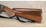 Remington ~ Nylon 66 ~ .22 LR - 6 of 7