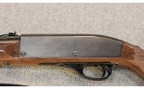 Remington ~ Nylon 66 ~ .22 LR - 5 of 7
