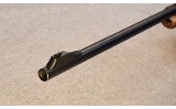 Blaser ~ Model R 93 ~ .300 Win. Mag. - 2 of 7