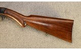 Browning ~ Auto-22 Takedown ~ .22 LR - 6 of 7