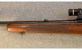 Winchester ~ Model 88 ~ .243 Winchester - 3 of 7