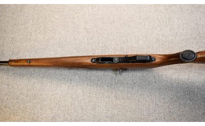 Heckler & Koch ~ Model HK300 ~ .22 Mag. - Image 5 of 7