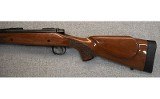 Remington~700~.300 WIN MAG - 6 of 10