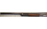 Winchester~12~12 Gauge - Image 8 of 10