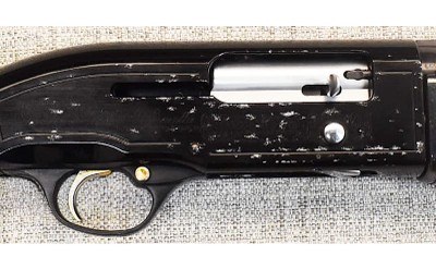 Beretta~A303~12 Gauge - Image 3 of 11
