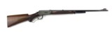 Winchester 64 30-30 Cal. Rifle MFG 1951 - 2 of 25