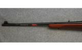 Winchester 70 Western, 7mm Rem.Mag., Classic Rifle - 6 of 7