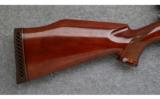 Weatherby Mauser, .300 Wby. Mag., Early Rifle - 5 of 7