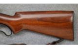 Winchester Model 71, .348 WCF., Lever Rifle - 7 of 7