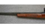 Sako L579 Forester, .243 Win., Varmint Rifle - 6 of 7