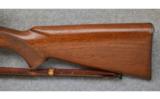 Winchester Model 70, .22 Hornet, Pre-64 Rifle - 7 of 7