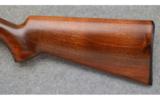 Browning T-Bolt, .22 LR.,
Game Gun - 7 of 7