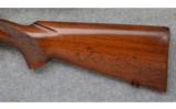 Winchester Model 70, .22 Hornet, Pre-64 Bolt Rifle - 7 of 7