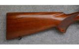 Winchester Model 70, .22 Hornet, Pre-64 Bolt Rifle - 5 of 7