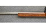 Zastava M98 Custom, .220 Swift, Bench Rifle - 6 of 7
