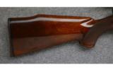 Sako L61R Finnbear,7mm Rem.Mag., Game Rifle - 5 of 7