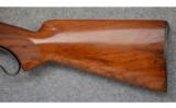Winchester Model 71, .348 Win., Lever Rifle - 7 of 7