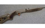 Browning Auto-22, .22 LR., Laminate Stainless - 1 of 7
