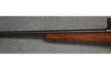 CZ 527 Varmint,.17 Remington, - 6 of 7